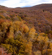 cornercanyonfall_105.jpg